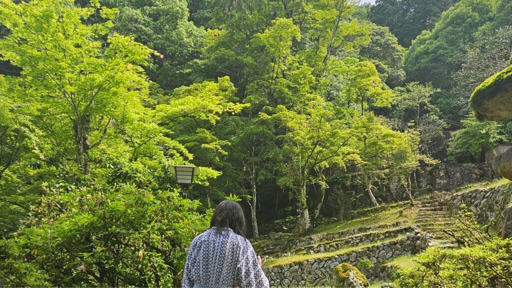 the garden at ueyama ryokan