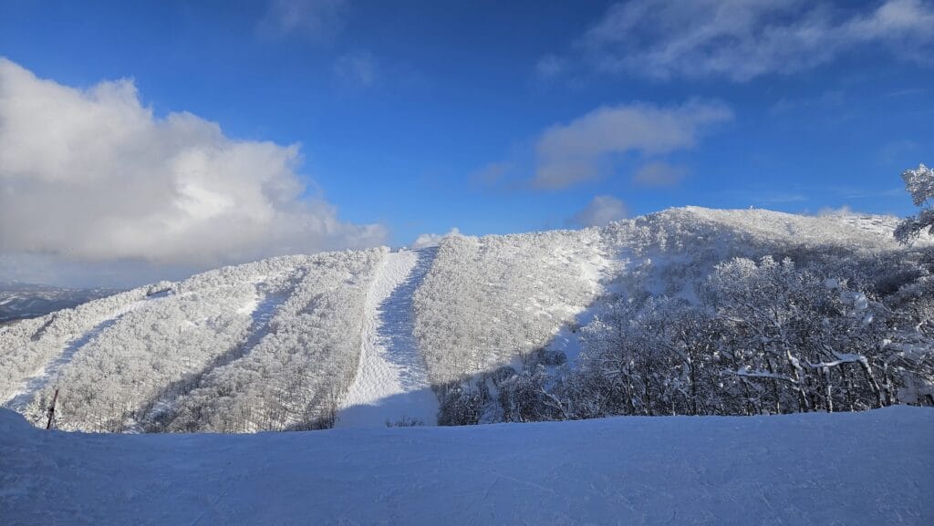 grand higafu niseko ski snowboard japan hokkaido