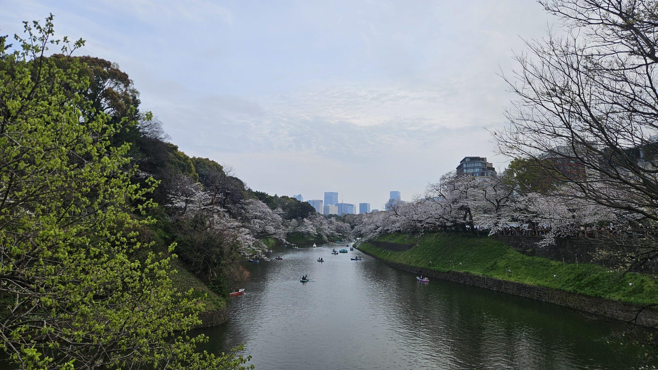 Kokyo Gaien National Garden boats