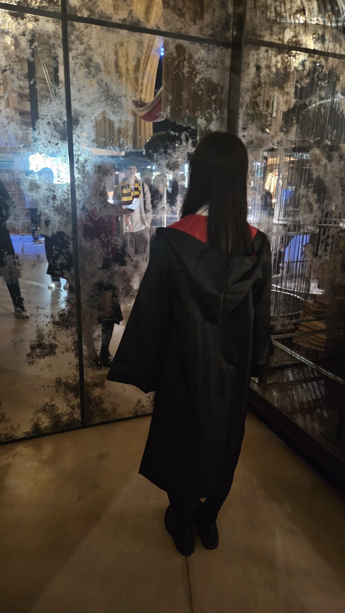 harry potter 5