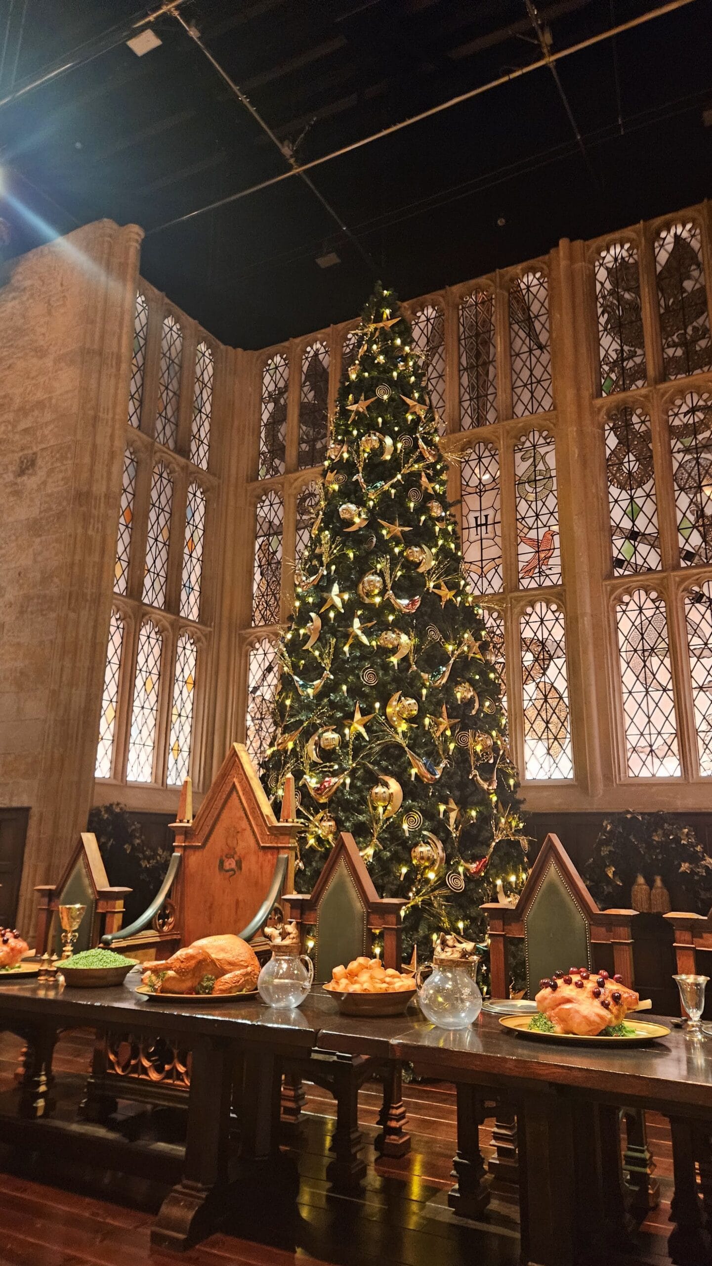 The Making of Harry Potter in Tokyo: Where Magic Meets the City
