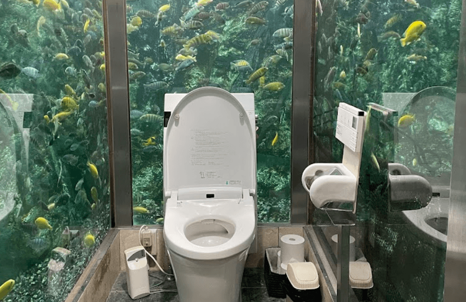 The World’s Best Toilet: A Hidden Gem in Hyogo, Japan (Aquarium Toilet)